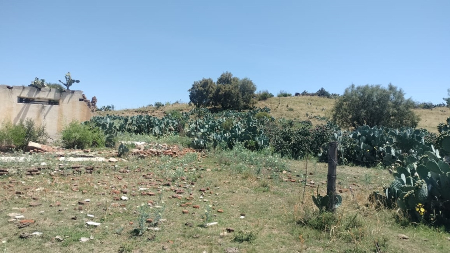  Bedroom Property for Sale in Bloemfontein Rural Free State